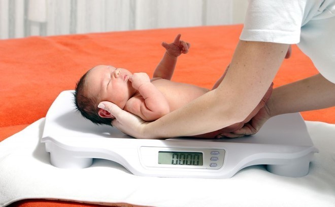 Panduan Perkembangan Anak Usia 11 Bulan: Fisik, Motorik, dan Kebutuhan Nutrisi, Bunda, si Kecil